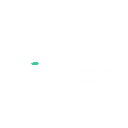 Plano Gera